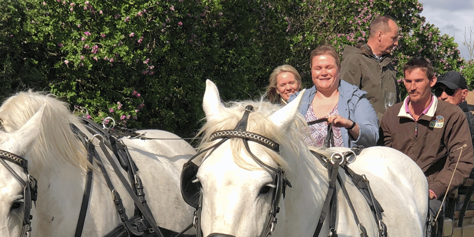 Vrede En Lust Wine Estate: 30M Carriage Ride - Exploring the Foothills of Simonsberg