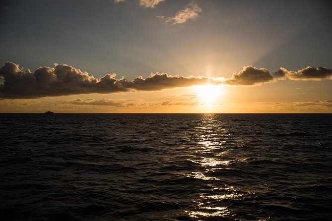 Waikiki Fireworks Dinner Cruise: Sail & Sparkle on Friday Nights - Booking Information and Pricing