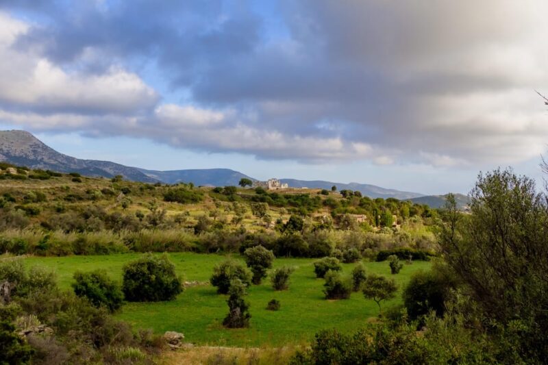 Walk Among the Olive Trees (Private Group Experience) - Preparation and Restrictions