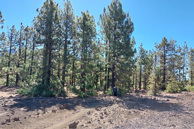 Walking on the Moon Around the Volcano Teide in Tenerife - Exploring Mount Teide