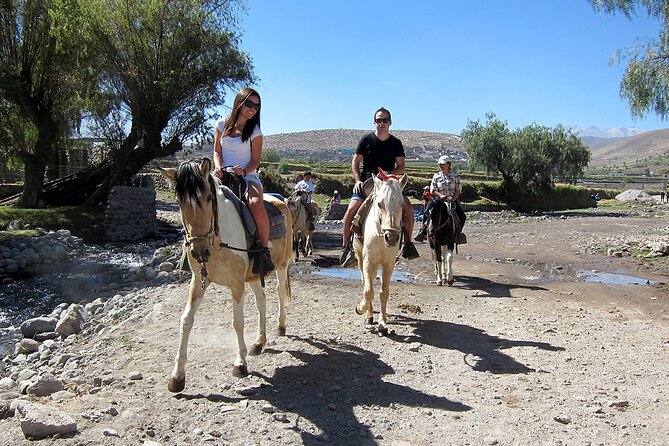 Walking Tour Through the Historic Center of Arequipa - Additional Stops