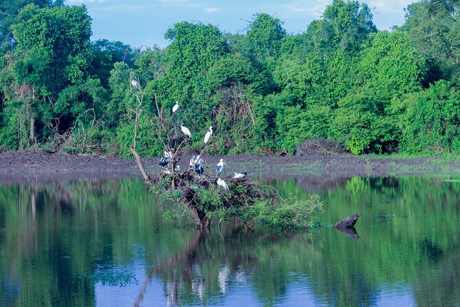 Wasgamuwa National Park Safari | Jeep With Tickets - Pricing Information
