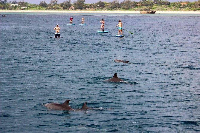 Watamu Marine Park & Sudi Island Mangrove Forest Canoe Ride.With Sea Food Lunch - Seafood Lunch