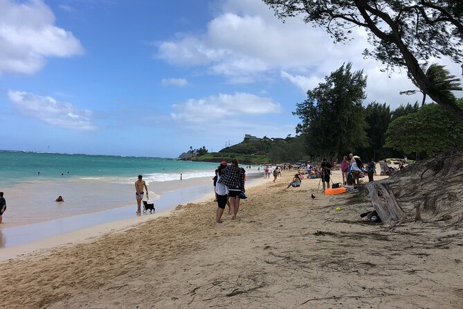 Waterfall Hike , Sightseeing & East Side Beach Day - Cultural and Local Experiences