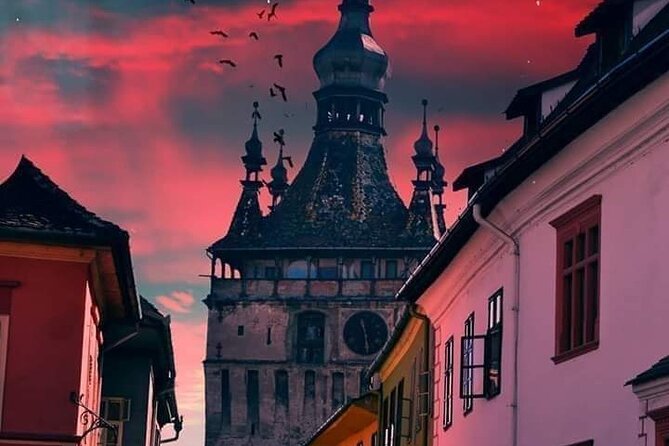 WEDNESDAY and DRACULA Themed Private 5-Day Tour in Romania With Airport Pickup - Vegetarian Meal Option