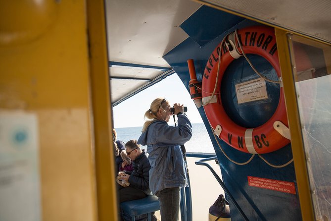 Whale-Watching Tour From Vancouver - Marine Life Sightings