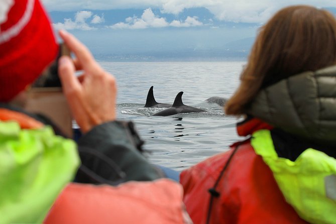 Whale Watching Tour in a Zodiac Boat in Victoria - Amenities Included in the Tour