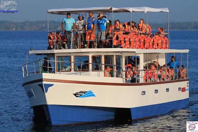 Whales and Dolphins Watching Mirissa - Inclusions of the Tour