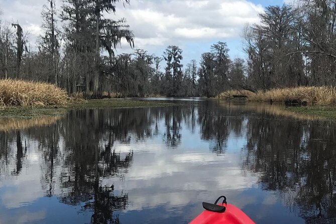Whitney Plantation and Manchac Swamp Kayak Tour Combo - Tour Duration and Group Size