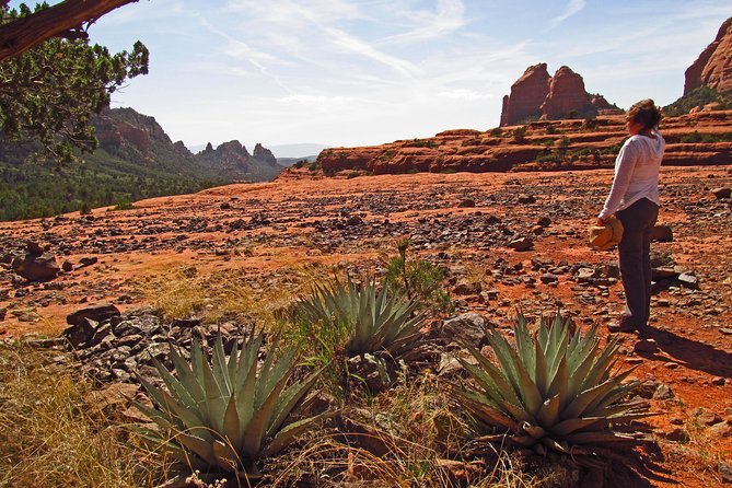 Whole-Day Sedona Vortex Experience - Pricing and Booking Information
