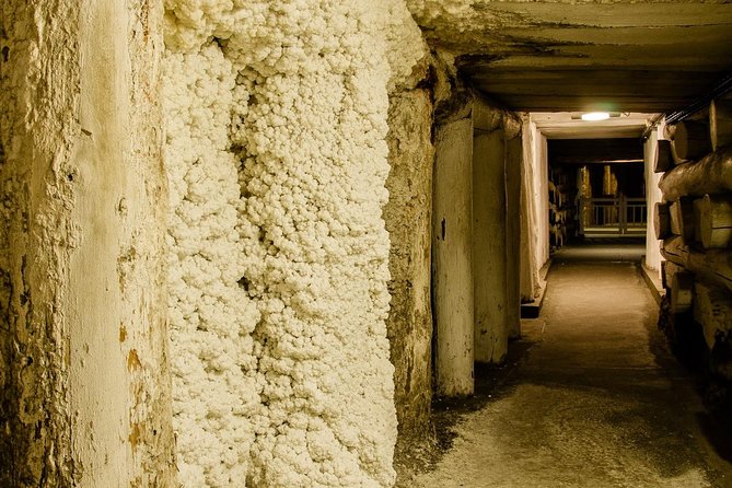 Wieliczka Salt Mine From Krakow, Guided Half-Day Tour With Private Transport - Reviews and Ratings