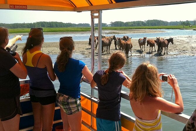 Wild Pony Watching Boat Tour From Chincoteague to Assateague - Accessibility Features
