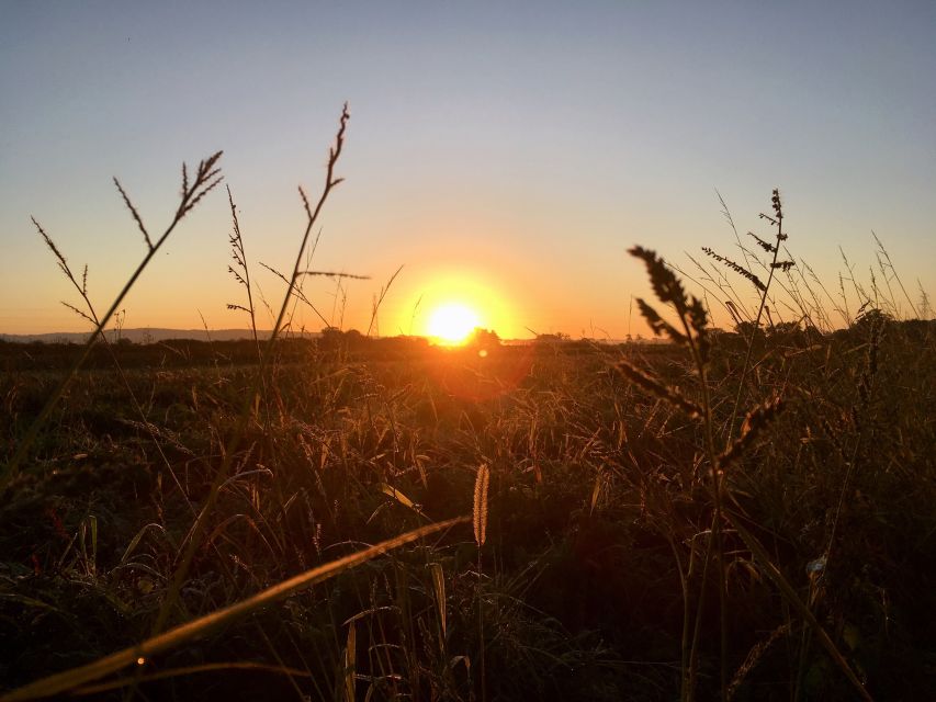 Wilder Skies - Somerset Nature Tours - Accessibility and Bookings