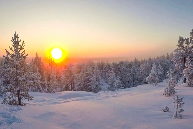 Wilderness Survival Tour - Winter - Seasonal Features