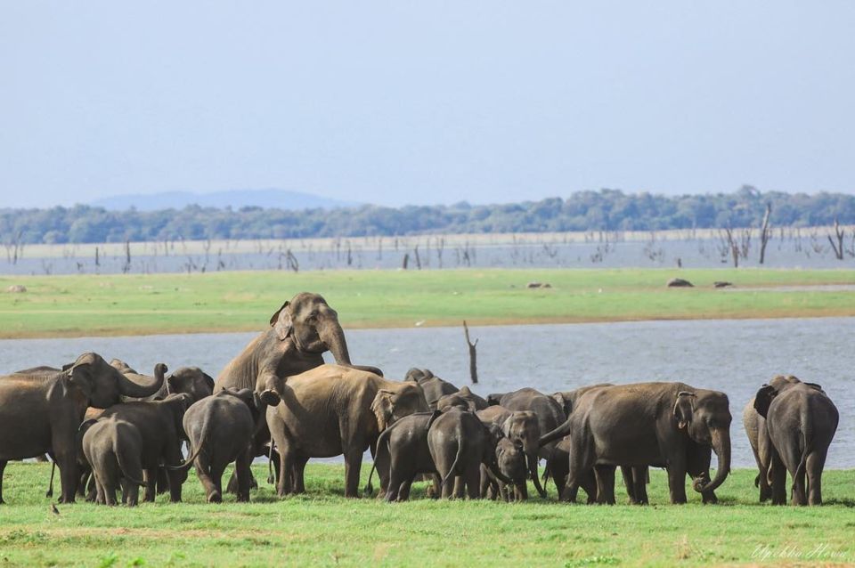 Wildlife Safari to Kaudulla National Park - Exploring Kaudulla National Park