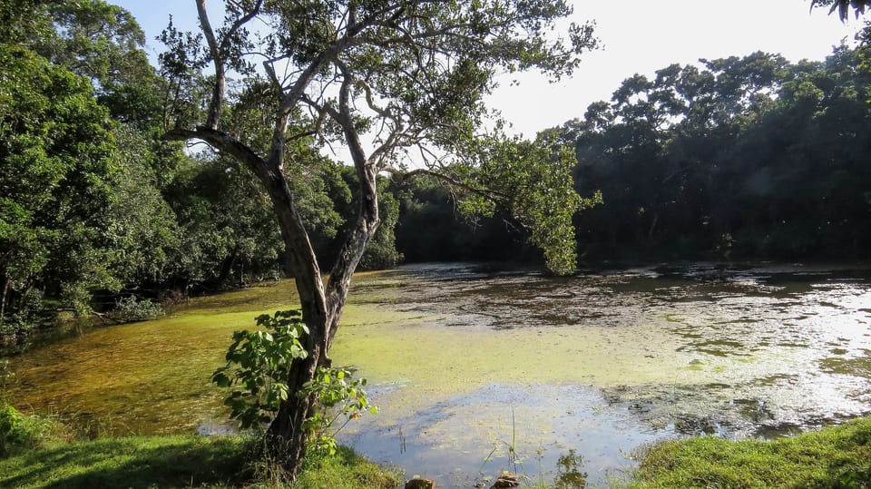 Wilpattu National Park Safari From Dambulla - Park Entrance Fee