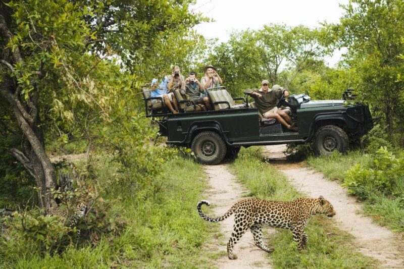 Wilpattu National Park Safari Tour From Dambulla - Cancellation Policy