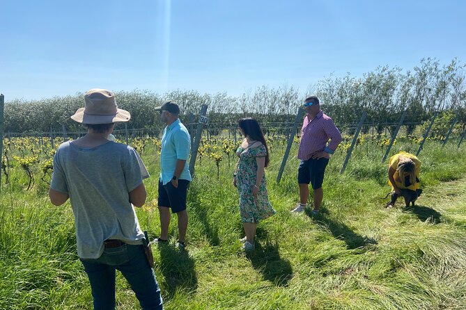 Wine and Cheese Tasting Tour in Cheddar Valley - Transportation and Mobility