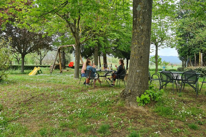 Wine & Oil Tasting Experience - Highlights of the Winery