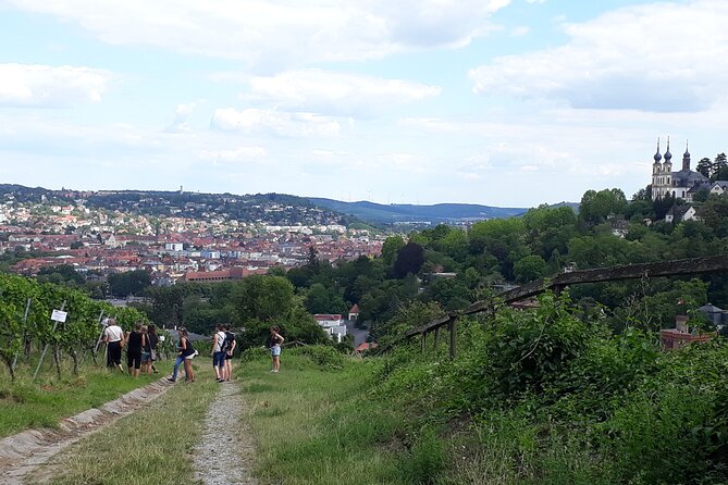 Wine Rally in Würzburg With Tasting - Winter Wine Tasting Option