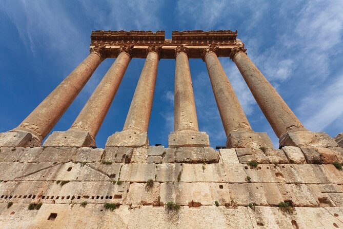 Wine Tasting and Culture - Tour Reviews