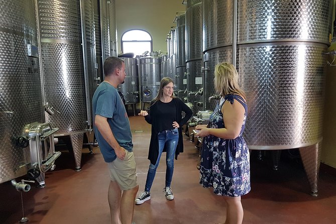 Winery And Oil Mill Tasting Tour - Visiting Sardinian Producers