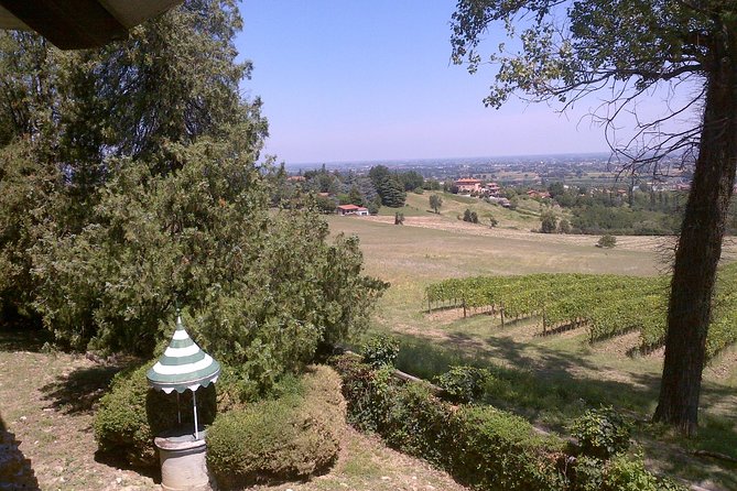 Winetour and Tasting on Bologna Hills, Guided by the Wine Grower - Customer Testimonials