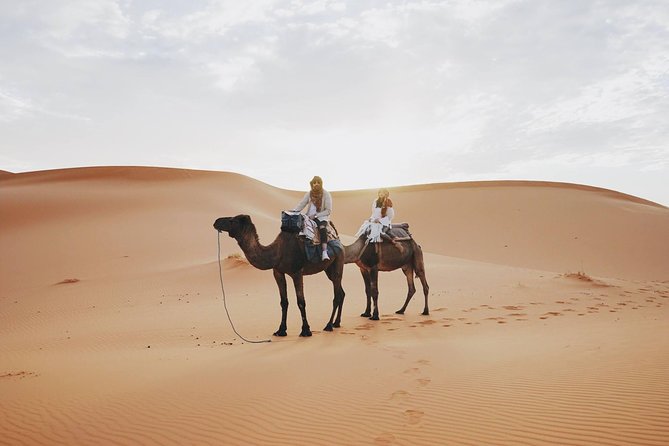 Wonderful Desert Tour From Fes To Merzouga 1 Night 2 Days - Camel Trekking