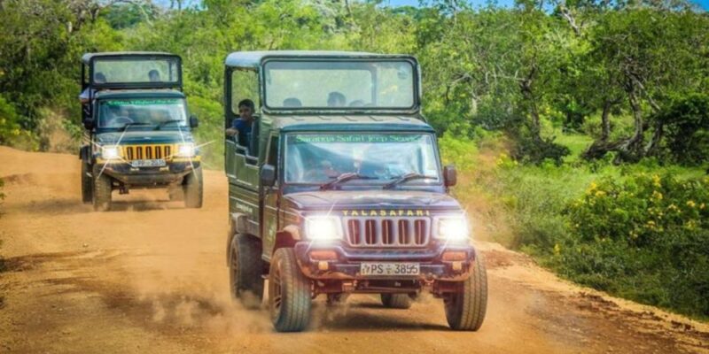Yala: 1 Day Leopard Safari With Picnic Lunch From Hambantota - Pickup and Drop-off