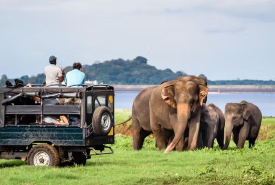 Yala All Inclusive Safari Tour With Free Entrance and Food - Inclusions and Exclusions