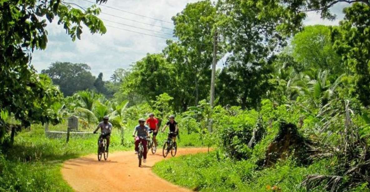 Yala: Cycling Expedition From Hambantota Harbor - Frequently Asked Questions