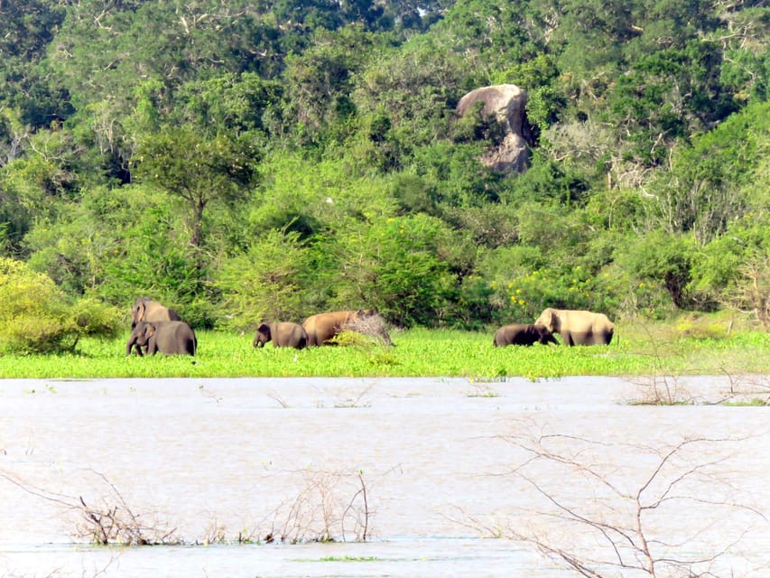 Yala National Park - Full Day Safari Tour (4.00am - 6.00pm) - Pickup and Drop-off Locations