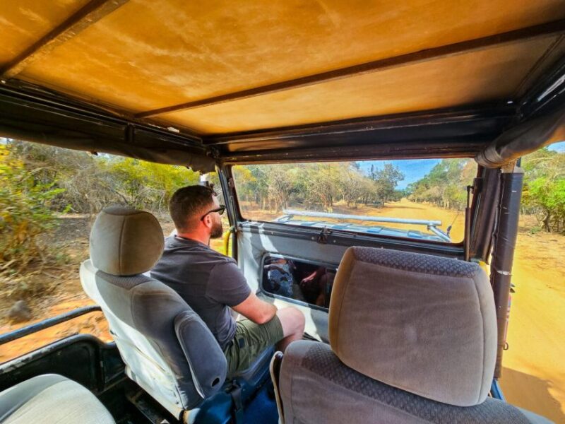 Yala National Park Wildlife Safari From Kaluthara - Guided Safaris