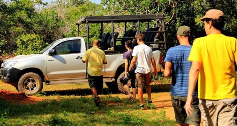 Yala Safari Tours: Yala Private Safari, All Inclusive - Booking and Reservations