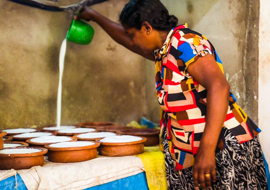 Yala: Village Tuk-Tuk Tour With Curd Making & Pottery Demo - Wildlife Spotting