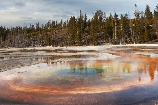 Yellowstone Hot Spring & Geyser Basin Tour - Review Highlights