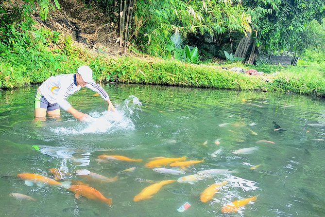 Yogyakarta Cycling Tour Around the Villages and Fish Farm - Local Culture and Scenic Views