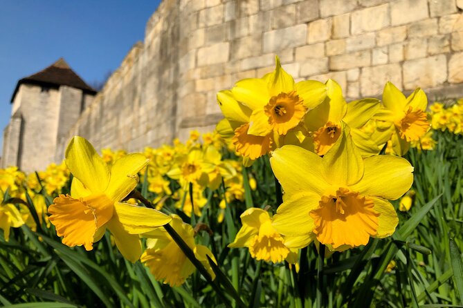 York 3-Hour Photography Walking Tour - Exploring Historic York