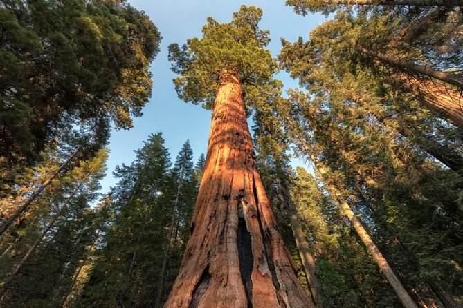 Yosemite National Park Self Guided Driving Audio Tour Guide - Memorable Keepsakes and Souvenirs