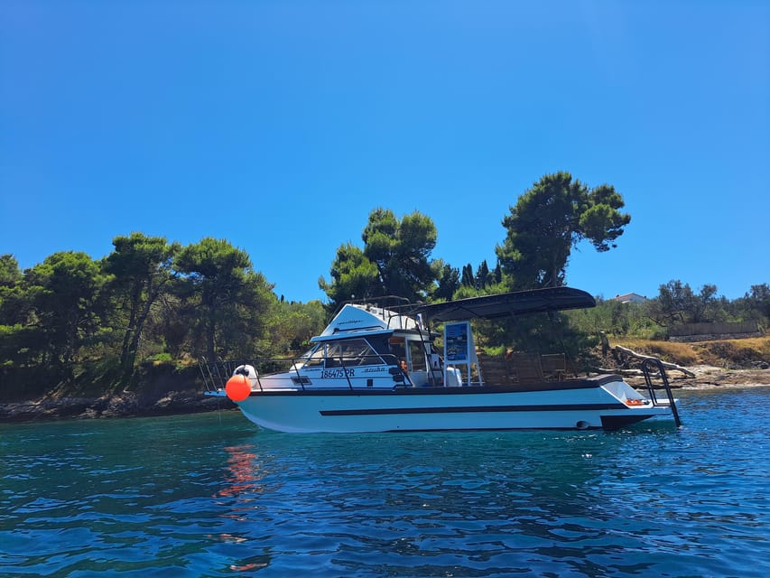 Zadar: Private Boat Tour to Croation Islands - Half Day - Customer Feedback