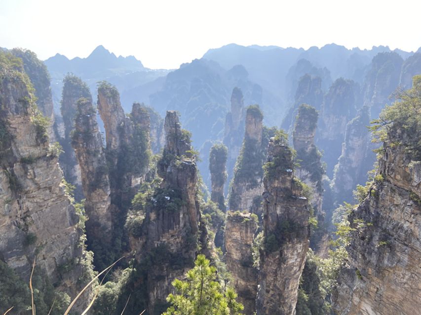 Zhangjiajie National Forest Park: Private Tour and Transport - Yuanjiajie