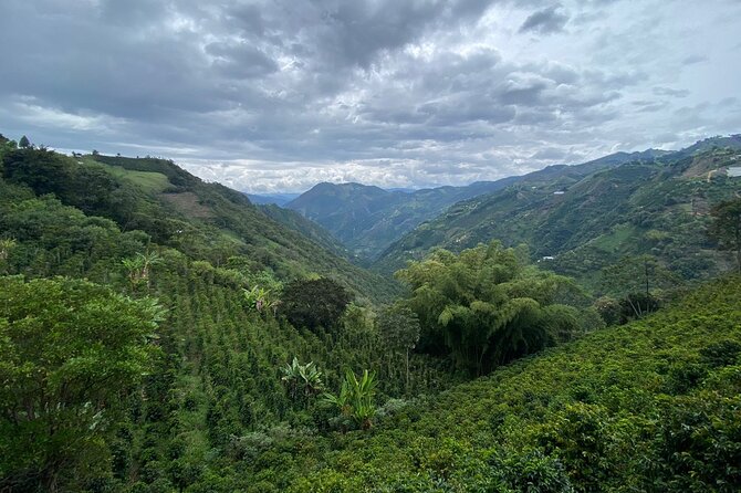 Zip Line Medellin - Inclusions and Amenities