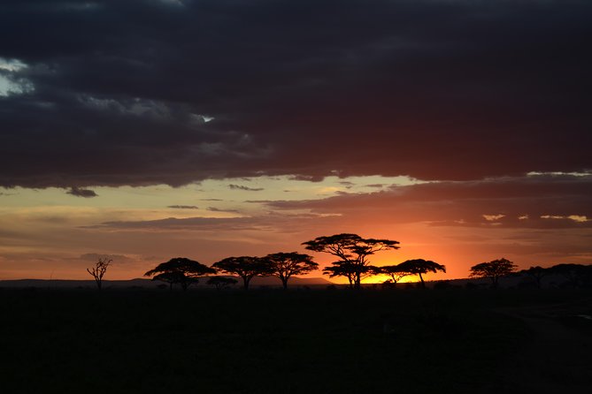 5days Tanzania Safari Lodge and Camping Serengeti, Tarangire & Ngorongoro Crater - Good To Know