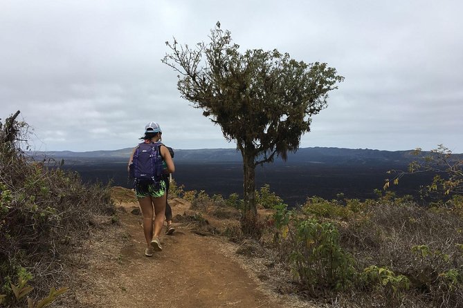 6-Day Galapagos Island Hopping: Kayaking, Mountain Biking and Volcano Hike - About Your Stay