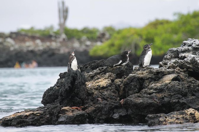 6-day Galapagos on a Budget Experience - Good To Know