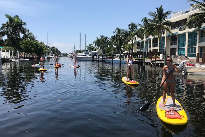 1.5 Hour Paddle Board Rental With Instruction - Local Wildlife to Discover