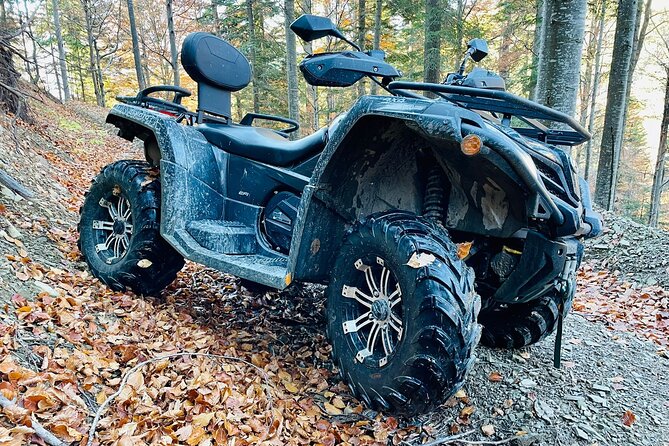 1 Day ATV Tour in Carpathian Mountains - Personalized Group Experiences