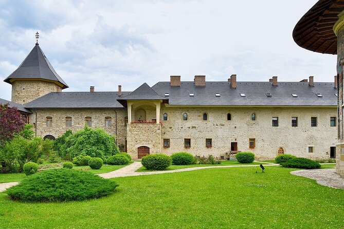 1-Day Bucovina Painted Monasteries Tour From Suceava - English - Reviews and Feedback