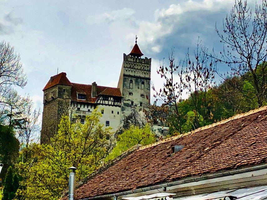 1 Day Castles Tour - Sinaia and Bran - Important Restrictions