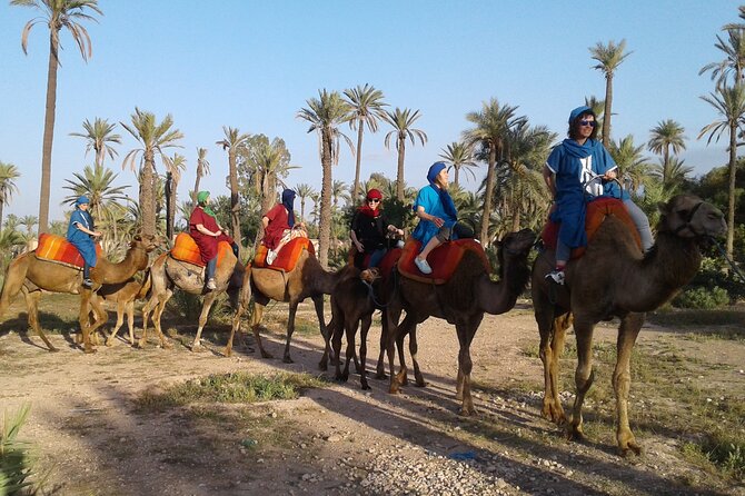 1-Hour Camel Ride in La Palmeraie Marrakech With Hotel Pick up - Pricing and Confirmation
